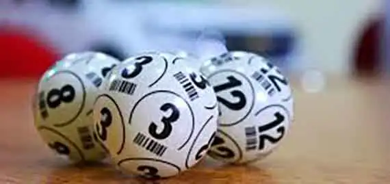 How to Optimize Your Odds of Winning Bingo