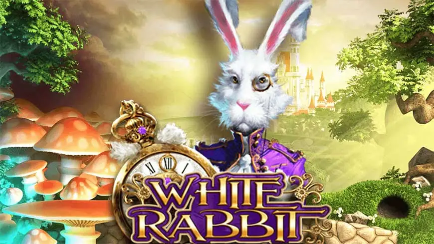 Megaways Slots White Rabbit